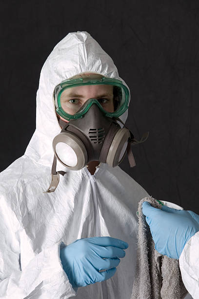 Best Environmental Consulting for Mold Prevention  in Brookston, IN